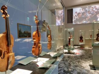 mostra i violini