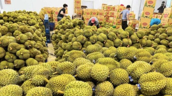 durian biodiversità