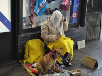 Accattonaggio animali